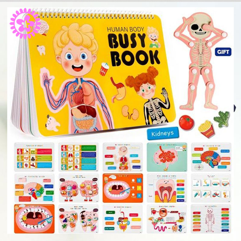 Custom Children's Book Printing Service | OEM/ODM, Board Books, Picture Books, Full-Color