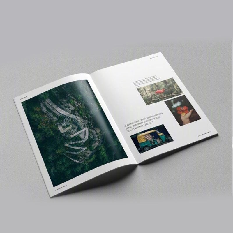 Custom Softcover & Paperback Book Printing Service | OEM/ODM, Perfect Binding, Saddle Stitch